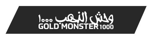 antalya-minelab-gold-monster-1000